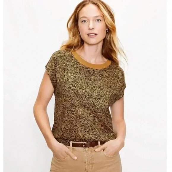 Ann Taylor LOFT Brown Leopard Print Relaxed Oversized Short Sleeve T-Shirt S - Picture 1 of 5